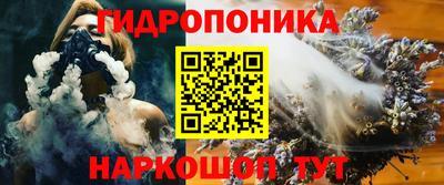 сатива Малгобек