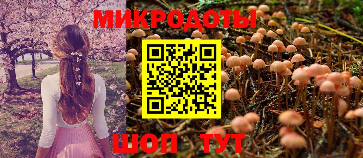 Чехов  Галлюциногенные грибы мицелий  Вход с VPN 